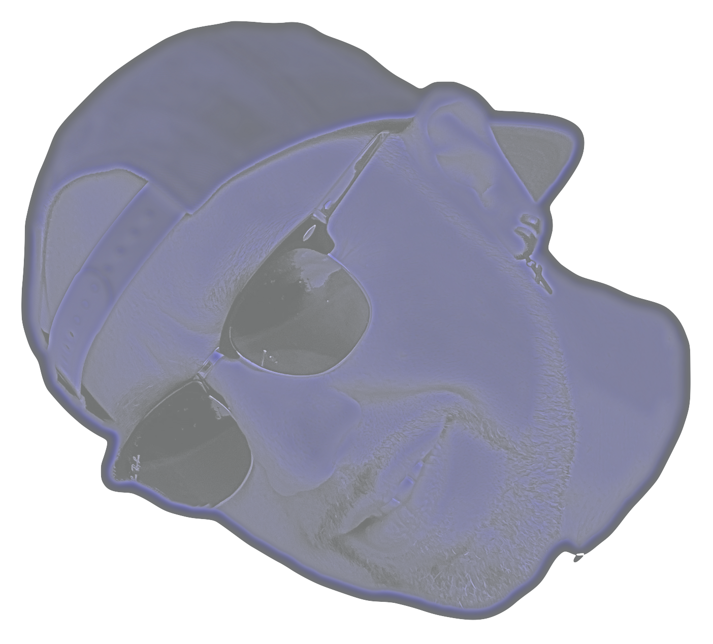 Dome%20Portrait%201_bearbeitet 1